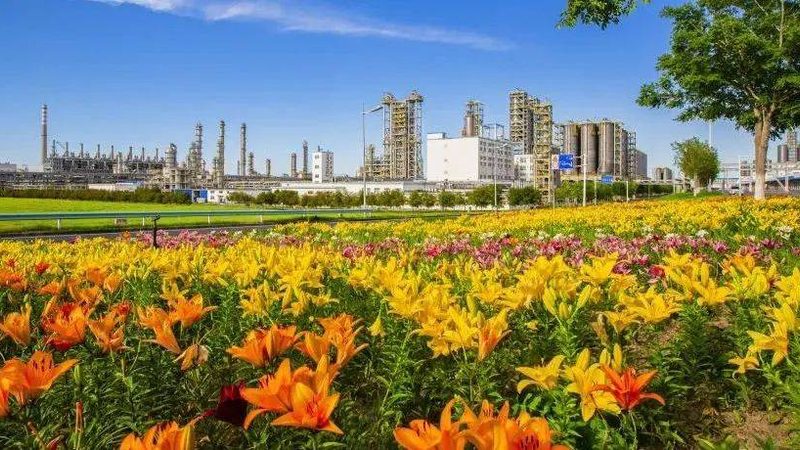 工业添加剂选型：如何从众多选项中精准定位**